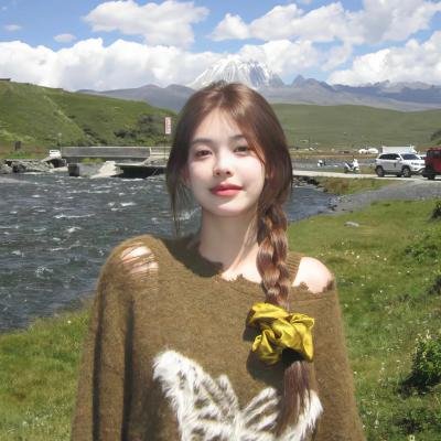 双重追捕血拼金三角海报